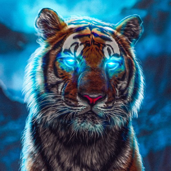 tiger-glowing-eyes-rc-1360x768-1